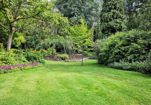 Optimiser l'expérience du jardin à Soizy-aux-Bois